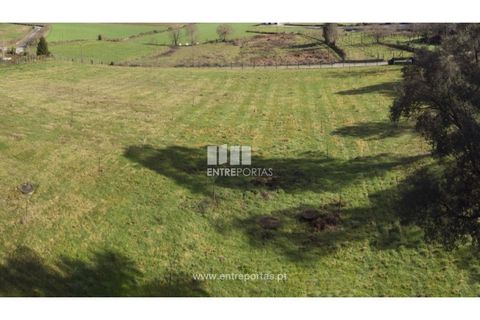 Grond in Gaifar, Viana do Castelo, Gaifar - € 160.000 | Ref: VCC14076 - foto 8
