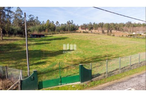 Grond in Gaifar, Viana do Castelo, Gaifar - € 160.000 | Ref: VCC14076 - foto 14