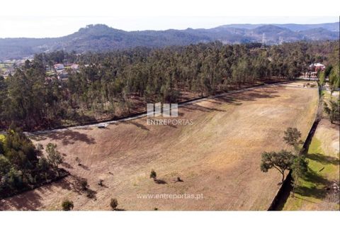 Grond in Gaifar, Viana do Castelo, Gaifar - € 266.000 | Ref: VCC14075 - foto 17