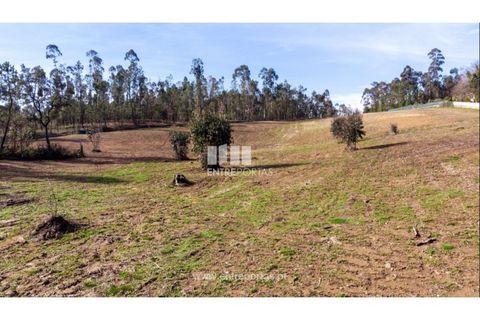 Grond in Gaifar, Viana do Castelo, Gaifar - € 266.000 | Ref: VCC14075 - foto 25