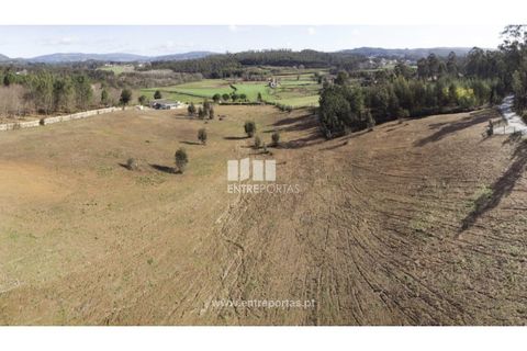 Grond in Gaifar, Viana do Castelo, Gaifar - € 266.000 | Ref: VCC14075 - foto 26