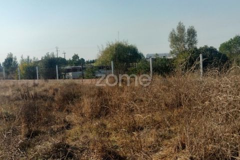 Helårsgrund i Palmela, Setubal, Palmela - € 50.000 | Ref: ZMPT570993 - foto 3