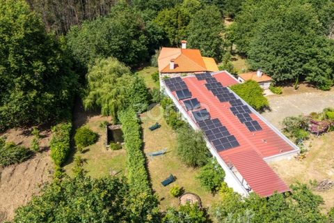 Farm i Santa Comba Dao, Viseu, Santa Comba Dao - € 849.500 | Ref: ZMPT577405 - foto 4
