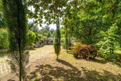 Farm i Santa Comba Dao, Viseu, Santa Comba Dao - € 849.500 | Ref: ZMPT577405 - foto 6