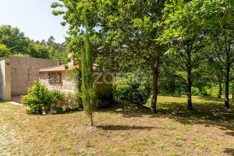 Farm i Santa Comba Dao, Viseu, Santa Comba Dao - € 849.500 | Ref: ZMPT577405 - foto 9