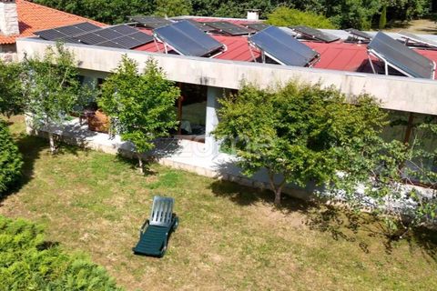 Farm i Santa Comba Dao, Viseu, Santa Comba Dao - € 849.500 | Ref: ZMPT577405 - foto 12