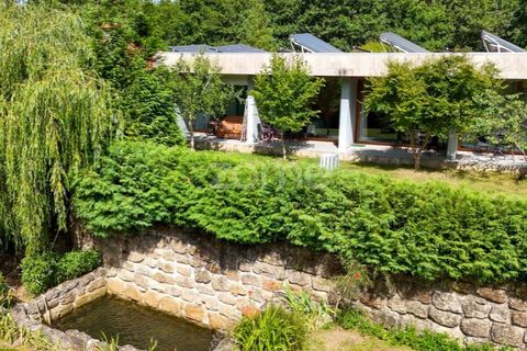 Farm i Santa Comba Dao, Viseu, Santa Comba Dao - € 849.500 | Ref: ZMPT577405 - foto 13