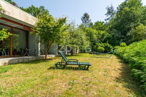 Farm i Santa Comba Dao, Viseu, Santa Comba Dao - € 849.500 | Ref: ZMPT577405 - foto 14