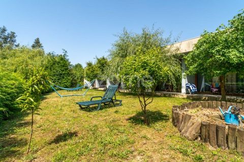 Farm i Santa Comba Dao, Viseu, Santa Comba Dao - € 849.500 | Ref: ZMPT577405 - foto 15