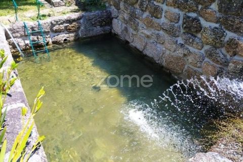 Farm i Santa Comba Dao, Viseu, Santa Comba Dao - € 849.500 | Ref: ZMPT577405 - foto 16