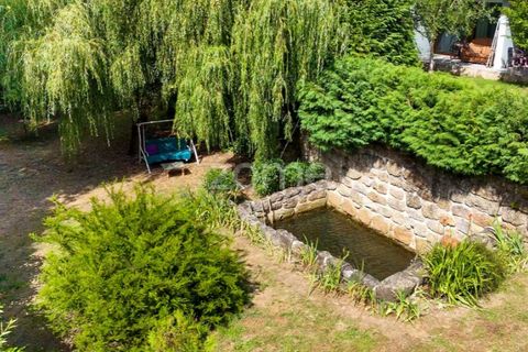 Farm i Santa Comba Dao, Viseu, Santa Comba Dao - € 849.500 | Ref: ZMPT577405 - foto 17