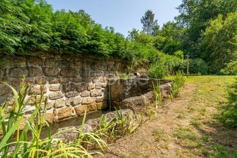 Farm i Santa Comba Dao, Viseu, Santa Comba Dao - € 849.500 | Ref: ZMPT577405 - foto 18