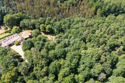 Farm i Santa Comba Dao, Viseu, Santa Comba Dao - € 849.500 | Ref: ZMPT577405 - foto 19