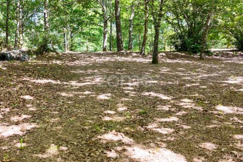 Farm i Santa Comba Dao, Viseu, Santa Comba Dao - € 849.500 | Ref: ZMPT577405 - foto 20