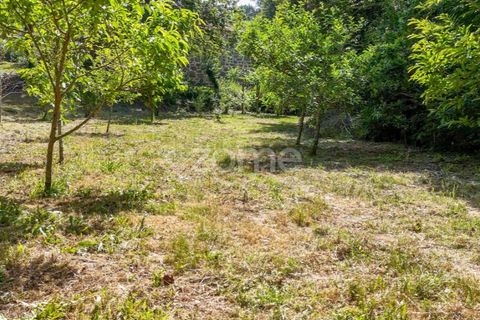 Farm i Santa Comba Dao, Viseu, Santa Comba Dao - € 849.500 | Ref: ZMPT577405 - foto 21