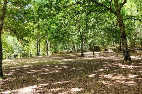 Farm i Santa Comba Dao, Viseu, Santa Comba Dao - € 849.500 | Ref: ZMPT577405 - foto 22