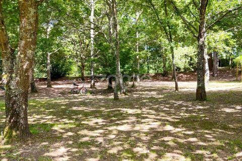 Farm i Santa Comba Dao, Viseu, Santa Comba Dao - € 849.500 | Ref: ZMPT577405 - foto 23