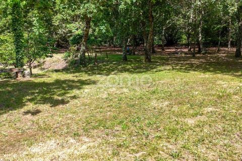 Farm i Santa Comba Dao, Viseu, Santa Comba Dao - € 849.500 | Ref: ZMPT577405 - foto 24