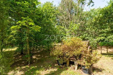 Farm i Santa Comba Dao, Viseu, Santa Comba Dao - € 849.500 | Ref: ZMPT577405 - foto 25