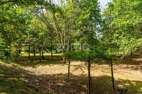 Farm i Santa Comba Dao, Viseu, Santa Comba Dao - € 849.500 | Ref: ZMPT577405 - foto 26