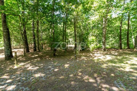 Farm i Santa Comba Dao, Viseu, Santa Comba Dao - € 849.500 | Ref: ZMPT577405 - foto 27