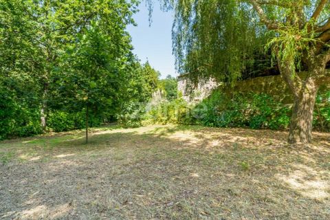 Farm i Santa Comba Dao, Viseu, Santa Comba Dao - € 849.500 | Ref: ZMPT577405 - foto 28