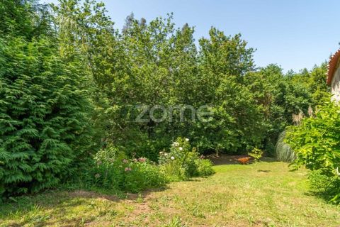 Farm i Santa Comba Dao, Viseu, Santa Comba Dao - € 849.500 | Ref: ZMPT577405 - foto 29