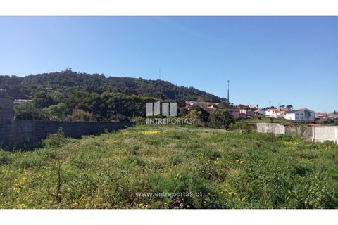 Helårsgrund i Caminha, Viana do Castelo, Caminha - € 145.000 | Ref: C02897 - foto 2
