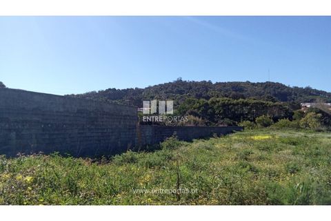Helårsgrund i Caminha, Viana do Castelo, Caminha - € 145.000 | Ref: C02897 - foto 3