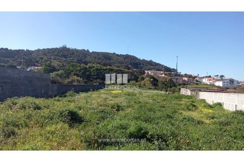 Helårsgrund i Caminha, Viana do Castelo, Caminha - € 145.000 | Ref: C02897 - foto 5