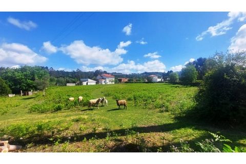 Helårsgrund i Viana do Castelo, Viana do Castelo, Viana do Castelo - € 150.000 | Ref: C02964 - foto 6