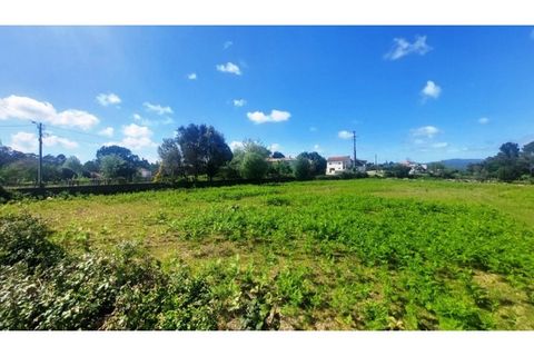 Helårsgrund i Viana do Castelo, Viana do Castelo, Viana do Castelo - € 150.000 | Ref: C02964 - foto 7