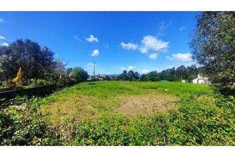 Helårsgrund i Viana do Castelo, Viana do Castelo, Viana do Castelo - € 150.000 | Ref: C02964 - foto 9