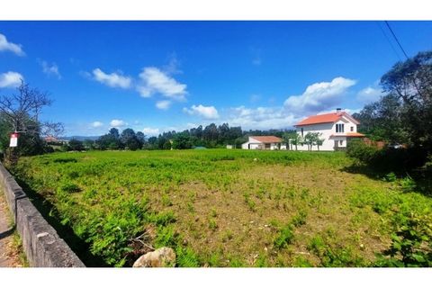 Helårsgrund i Viana do Castelo, Viana do Castelo, Viana do Castelo - € 150.000 | Ref: C02964 - foto 10