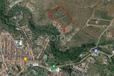 Terra a Moura, Beja, Moura - € 60.000 | Ref: ZMPT542346 - foto 2