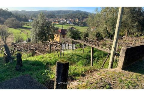 Helårsgrund i Caminha, Viana do Castelo, Caminha - € 60.000 | Ref: C02872 - foto 2