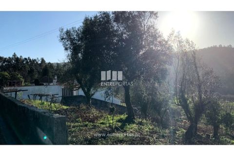 Helårsgrund i Caminha, Viana do Castelo, Caminha - € 60.000 | Ref: C02872 - foto 5