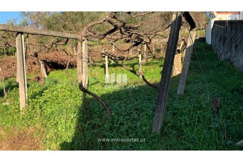 Helårsgrund i Caminha, Viana do Castelo, Caminha - € 60.000 | Ref: C02872 - foto 7