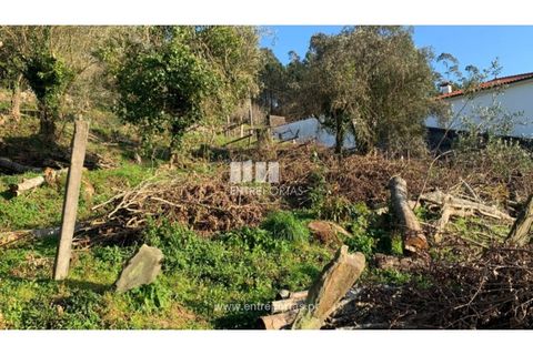 Helårsgrund i Caminha, Viana do Castelo, Caminha - € 60.000 | Ref: C02872 - foto 9