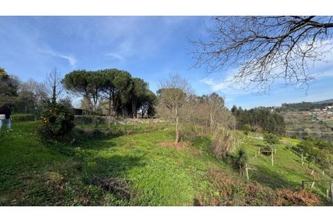 Helårsgrund i Penafiel, Porto, Penafiel - € 67.500 | Ref: MC09902 - foto 3