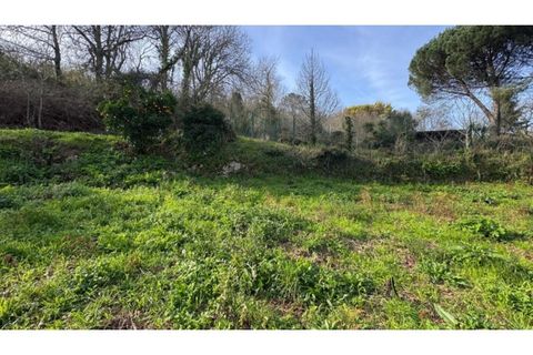 Helårsgrund i Penafiel, Porto, Penafiel - € 67.500 | Ref: MC09902 - foto 6