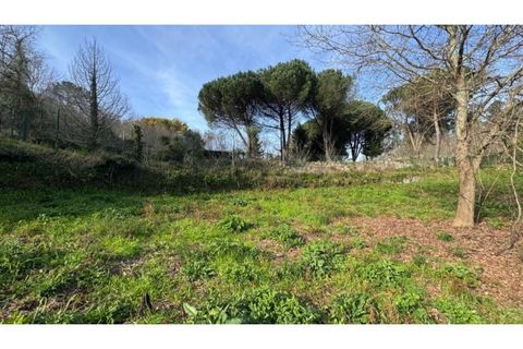 Helårsgrund i Penafiel, Porto, Penafiel - € 67.500 | Ref: MC09902 - foto 7
