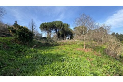 Helårsgrund i Penafiel, Porto, Penafiel - € 67.500 | Ref: MC09902 - foto 8