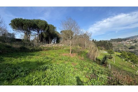 Helårsgrund i Penafiel, Porto, Penafiel - € 67.500 | Ref: MC09902 - foto 9