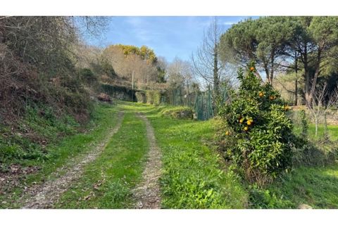 Helårsgrund i Penafiel, Porto, Penafiel - € 67.500 | Ref: MC09902 - foto 11