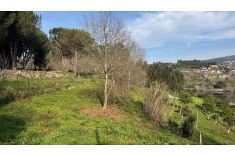 Helårsgrund i Penafiel, Porto, Penafiel - € 67.500 | Ref: MC09902 - foto 12