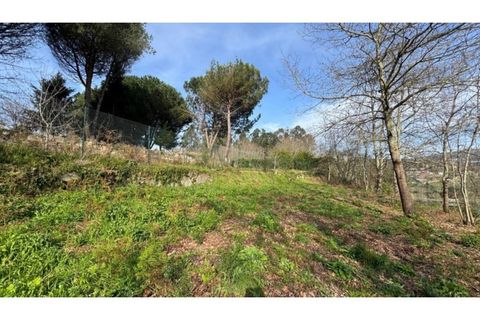 Helårsgrund i Penafiel, Porto, Penafiel - € 67.500 | Ref: MC09902 - foto 13