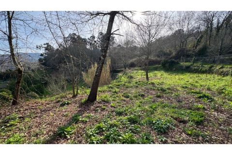 Helårsgrund i Penafiel, Porto, Penafiel - € 67.500 | Ref: MC09902 - foto 17