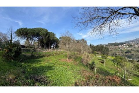 Helårsgrund i Penafiel, Porto, Penafiel - € 67.500 | Ref: MC09902 - foto 19