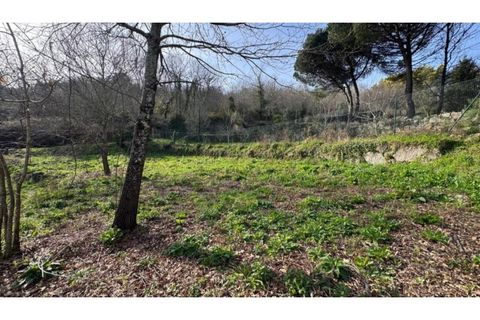 Helårsgrund i Penafiel, Porto, Penafiel - € 67.500 | Ref: MC09902 - foto 21